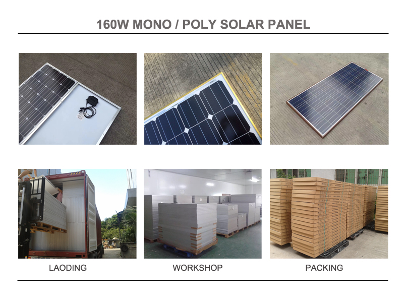 160w mono d