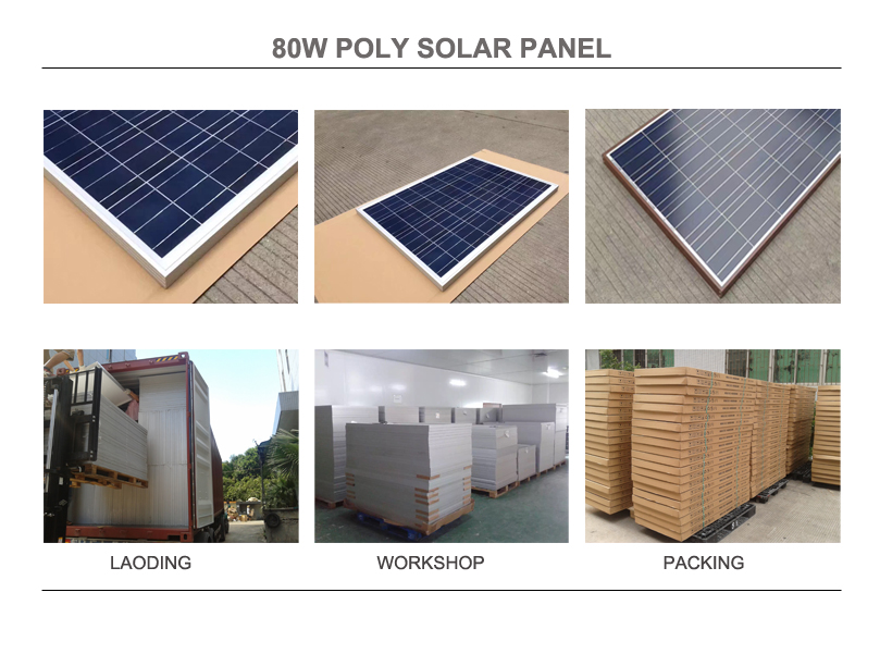 80w poly d